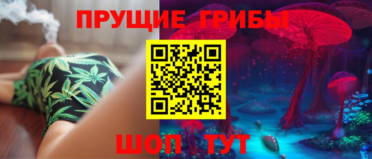 Галлюциногенные грибы Psilocybe Луховицы